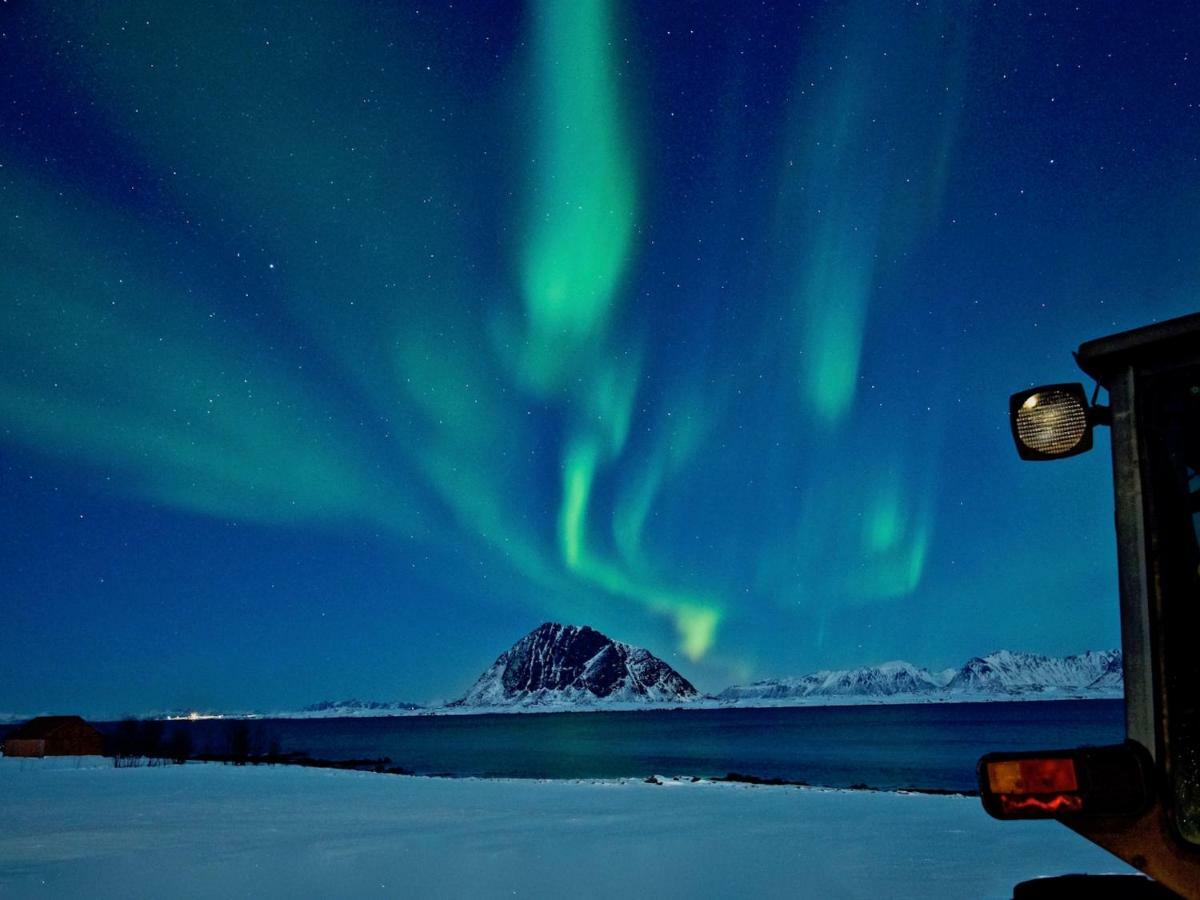 Elstad Farm Lofoten Bostad Екстериор снимка