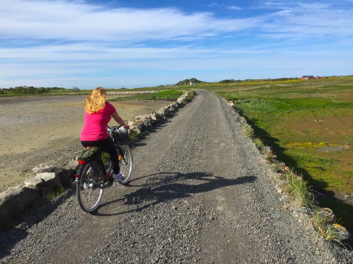 Elstad Farm Lofoten Bostad Екстериор снимка